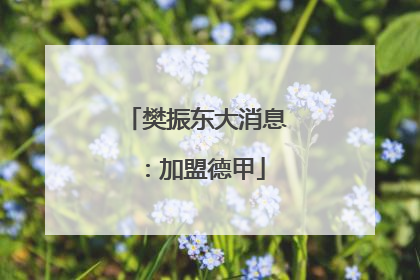 樊振东大消息：加盟德甲