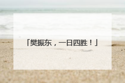 樊振东，一日四胜！