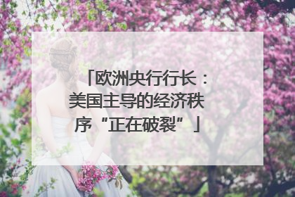 欧洲央行行长：美国主导的经济秩序“正在破裂”