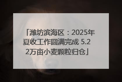 潍坊滨海区：2025年夏收工作圆满完成 5.22万亩小麦颗粒归仓