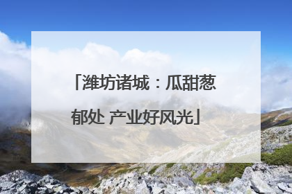 潍坊诸城：瓜甜葱郁处 产业好风光