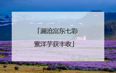 澜沧富东七彩紫洋芋获丰收