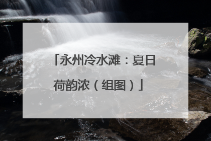 永州冷水滩：夏日荷韵浓（组图）