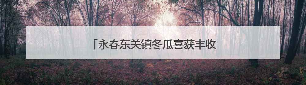 永春东关镇冬瓜喜获丰收 亩产达5500公斤