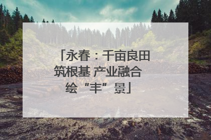 永春：千亩良田筑根基 产业融合绘“丰”景