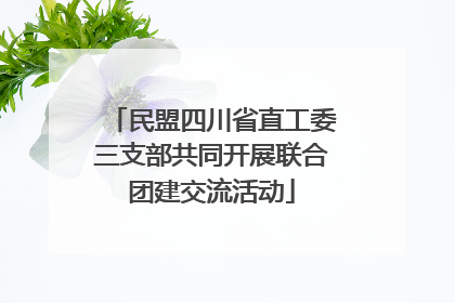 民盟四川省直工委三支部共同开展联合团建交流活动