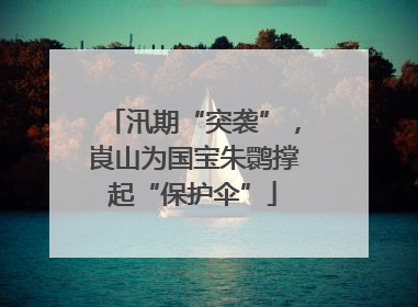 汛期“突袭”，崀山为国宝朱鹮撑起“保护伞”