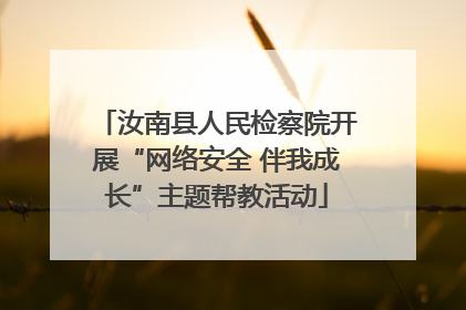 汝南县人民检察院开展“网络安全 伴我成长”主题帮教活动