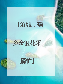 汝城：瑶乡金银花采摘忙