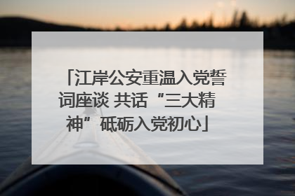 江岸公安重温入党誓词座谈 共话“三大精神”砥砺入党初心