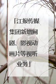 江报传媒集团新增网剧、影视动画片等视听业务
