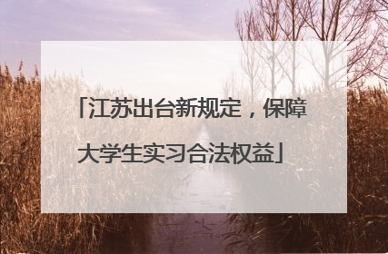 江苏出台新规定，保障大学生实习合法权益