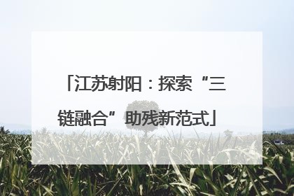 江苏射阳：探索“三链融合”助残新范式
