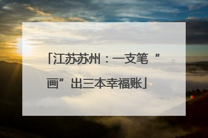 江苏苏州：一支笔“画”出三本幸福账