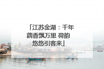 江苏金湖：千年藕香飘万里 荷韵悠悠引客来