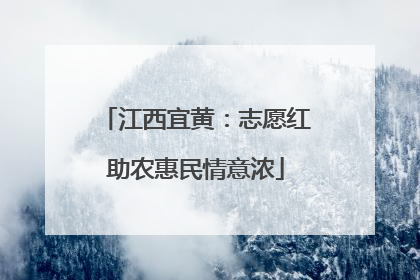 江西宜黄：志愿红助农惠民情意浓