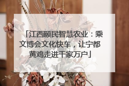 江西颐民智慧农业：乘文博会文化快车，让宁都黄鸡走进千家万户