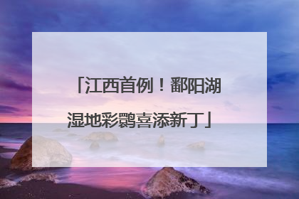江西首例！鄱阳湖湿地彩鹮喜添新丁