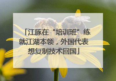 江豚在“培训班”练就江湖本领，外国代表想复制技术回国
