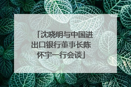 沈晓明与中国进出口银行董事长陈怀宇一行会谈