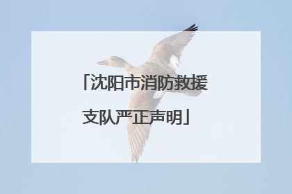 沈阳市消防救援支队严正声明