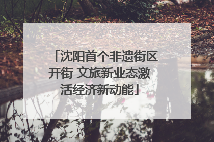 沈阳首个非遗街区开街 文旅新业态激活经济新动能