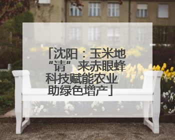 沈阳：玉米地“请”来赤眼蜂 科技赋能农业助绿色增产