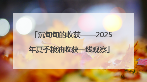 沉甸甸的收获——2025年夏季粮油收获一线观察