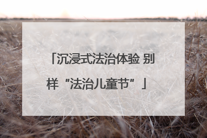 沉浸式法治体验 别样“法治儿童节”