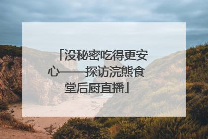 没秘密吃得更安心——探访浣熊食堂后厨直播