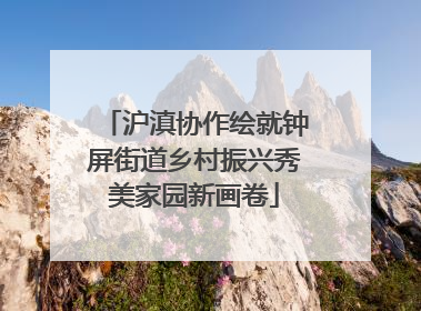 沪滇协作绘就钟屏街道乡村振兴秀美家园新画卷