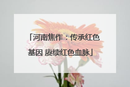 河南焦作：传承红色基因 赓续红色血脉