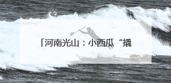 河南光山：小西瓜“撬动”特色农业发展路