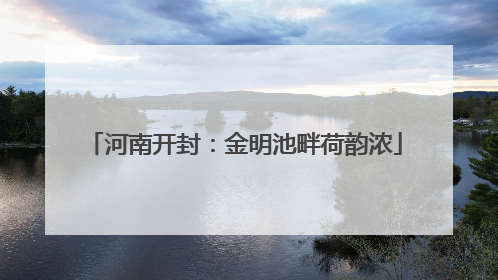 河南开封：金明池畔荷韵浓