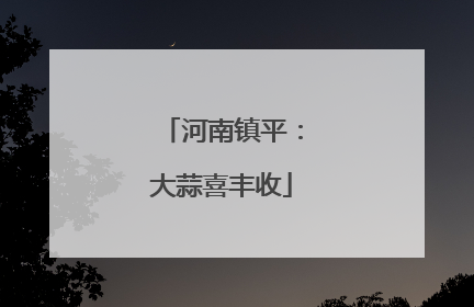 河南镇平：大蒜喜丰收