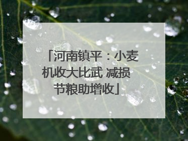 河南镇平：小麦机收大比武 减损节粮助增收