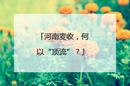 河南麦收，何以“顶流”？