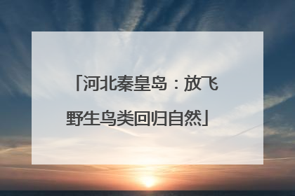河北秦皇岛：放飞野生鸟类回归自然