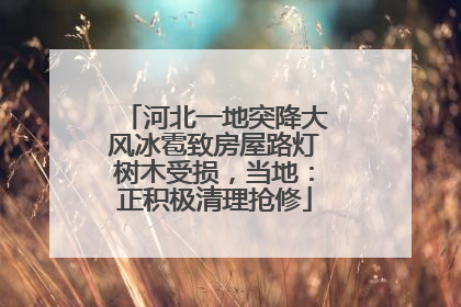 河北一地突降大风冰雹致房屋路灯树木受损，当地：正积极清理抢修