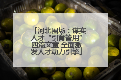 河北围场：谋实人才“引育管用”四篇文章 全面激发人才动力引擎