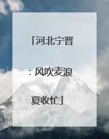 河北宁晋：风吹麦浪夏收忙