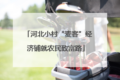 河北小村“麦客”经济铺就农民致富路
