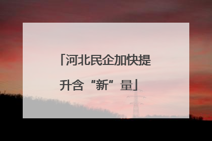 河北民企加快提升含“新”量