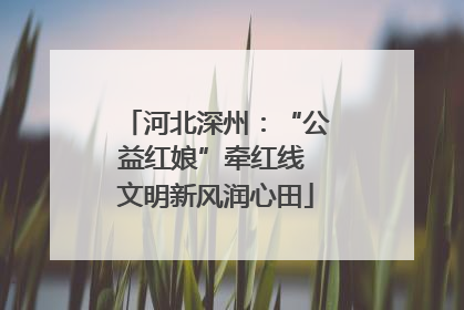 河北深州：“公益红娘”牵红线 文明新风润心田