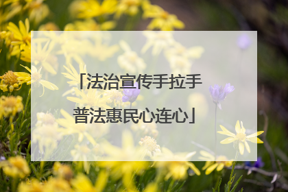 法治宣传手拉手 普法惠民心连心