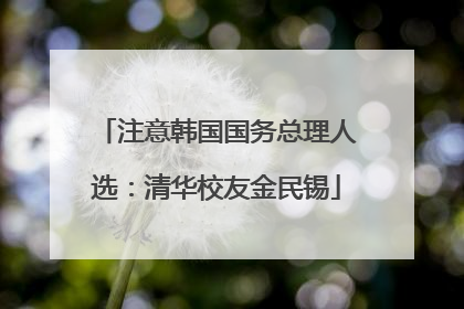 注意韩国国务总理人选：清华校友金民锡