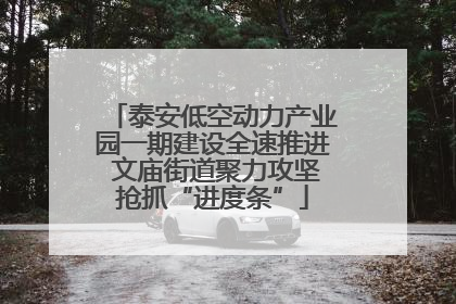 泰安低空动力产业园一期建设全速推进 文庙街道聚力攻坚抢抓“进度条”