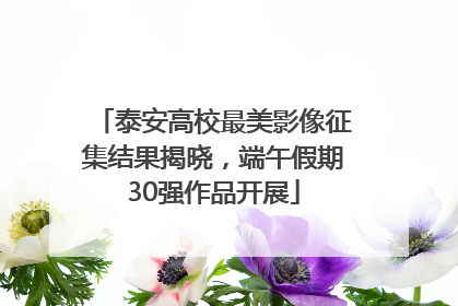 泰安高校最美影像征集结果揭晓，端午假期30强作品开展