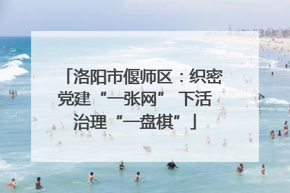 洛阳市偃师区：织密党建“一张网” 下活治理“一盘棋”