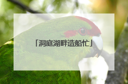 洞庭湖畔造船忙